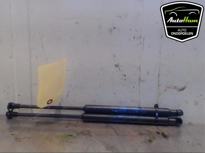 Set Gasdempers Achterklep Renault Twingo