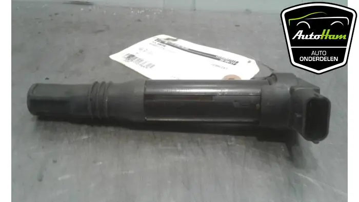 Pen Bobine Peugeot 208