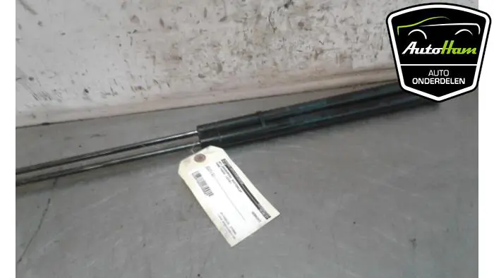 Set Gasdempers Achterklep Ford Focus