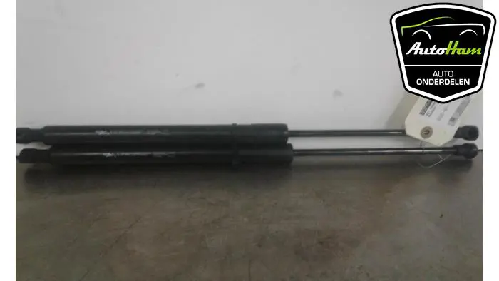Set Gasdempers Achterklep Peugeot 208