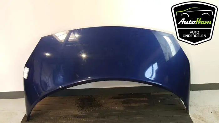 Motorkap Renault Scenic