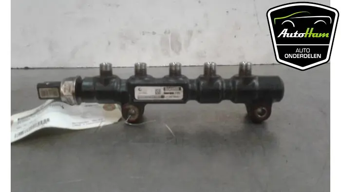 Brandstofverdeler Citroen C4 Picasso