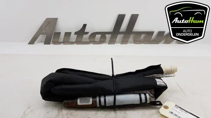 Airbag hemel links Renault Scenic
