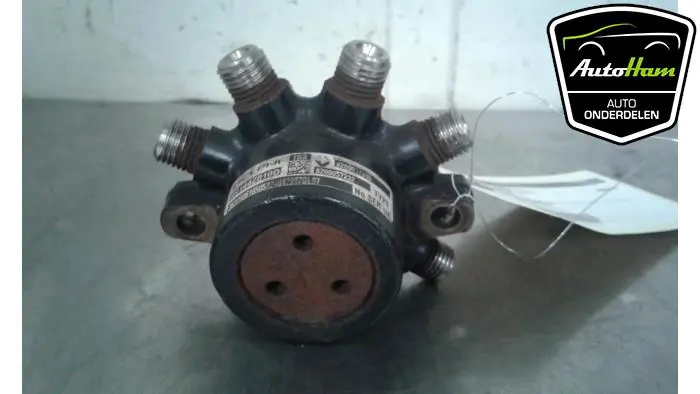Galerij (Injectie) Renault Clio