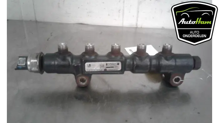 Brandstofverdeler Peugeot 307