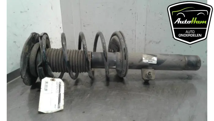 Schokdemper rechts-voor Peugeot 206 PLUS