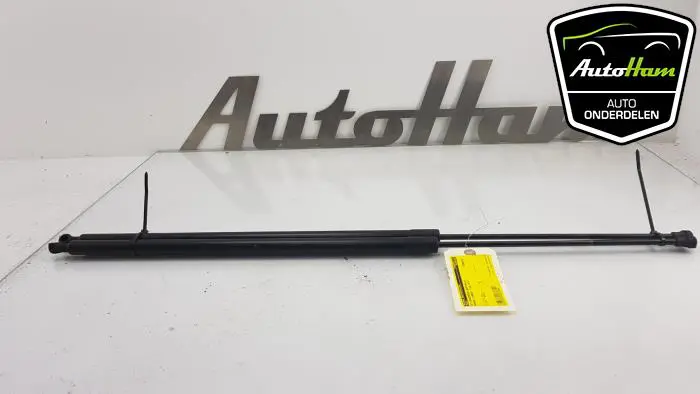 Set Gasdempers Achterklep Renault Kangoo