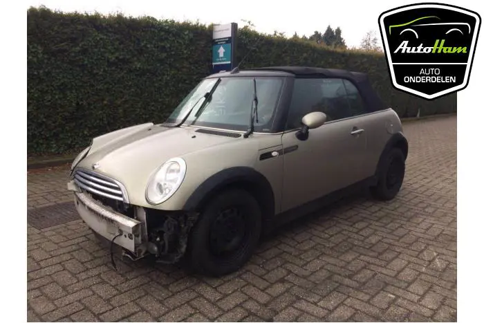 Rover Mini