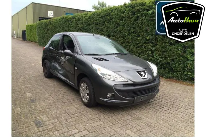 Peugeot 206 PLUS