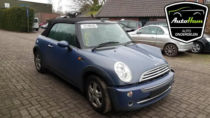 Rover Mini