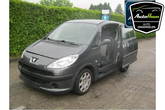 Peugeot 1007
