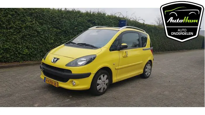 Peugeot 1007