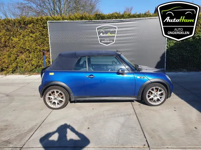 Rover Mini